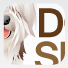 Dog Signs